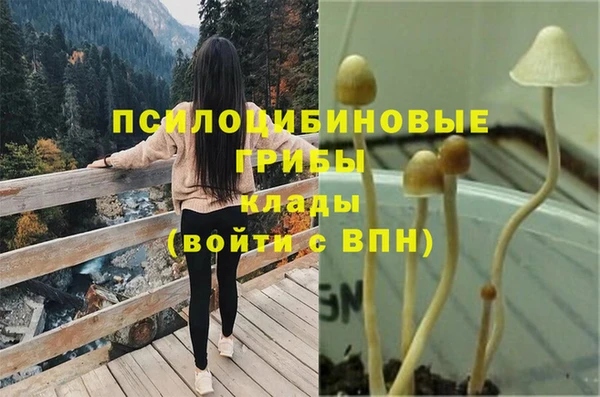 синтетический гашиш Бородино