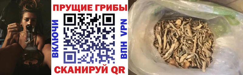 наркошоп  Грязовец  Галлюциногенные грибы ЛСД 