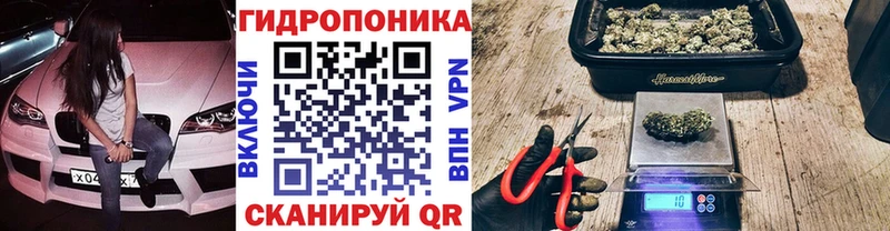Каннабис OG Kush  цены наркотик  Грязовец 